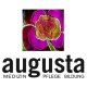 Pflegehelfer Pflegeassistenten (m/w/d), Bochum